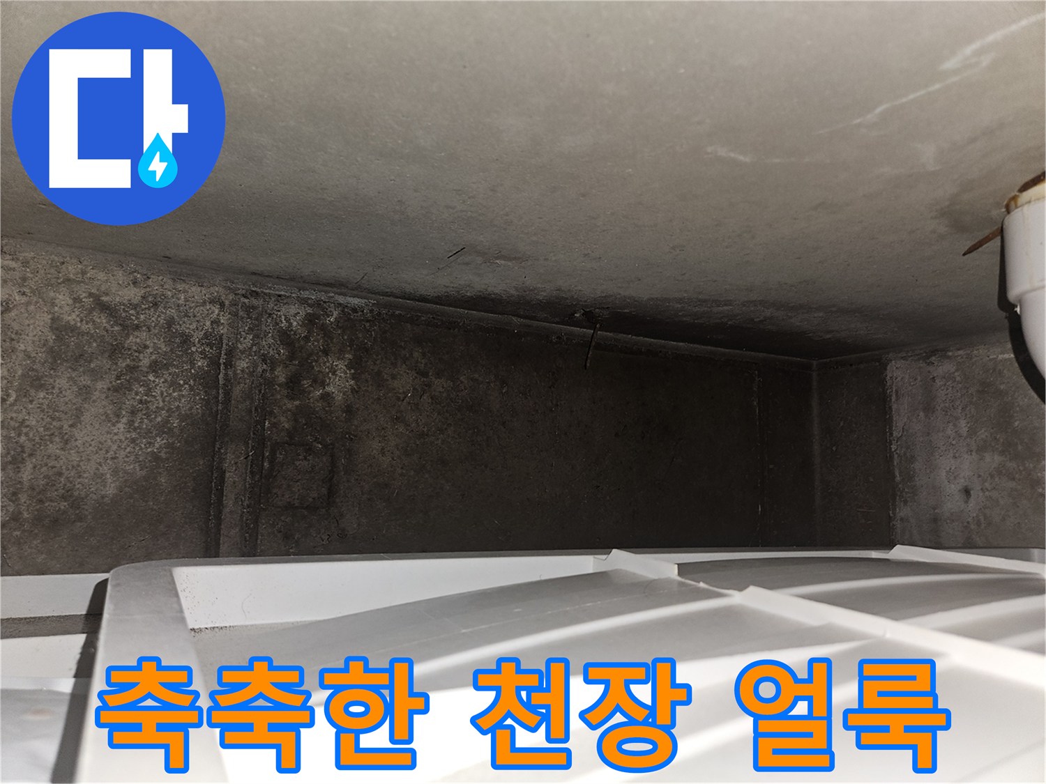 누수로 인해 습기가 찬 천장 내부의 곰팡이 상태