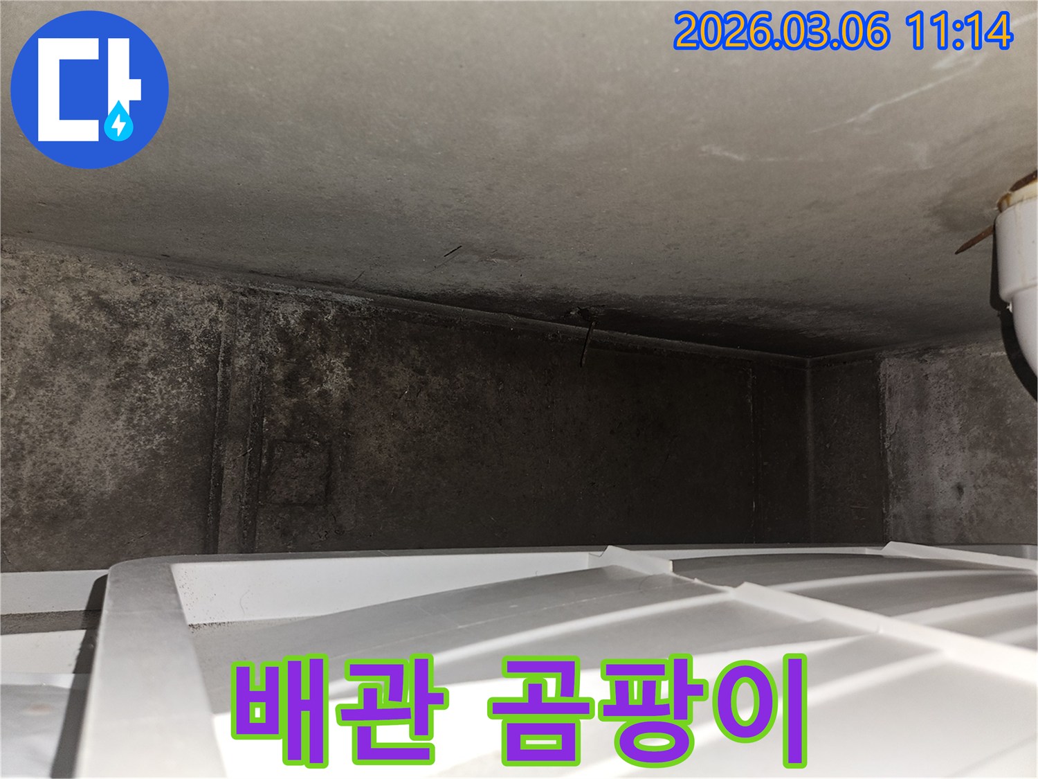 배관 주변-곰팡이 발생-누수 의심 지역