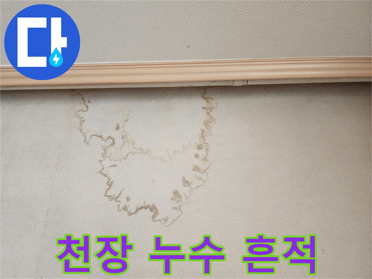 종로구 거실 천장의 불규칙한 물자국 상태