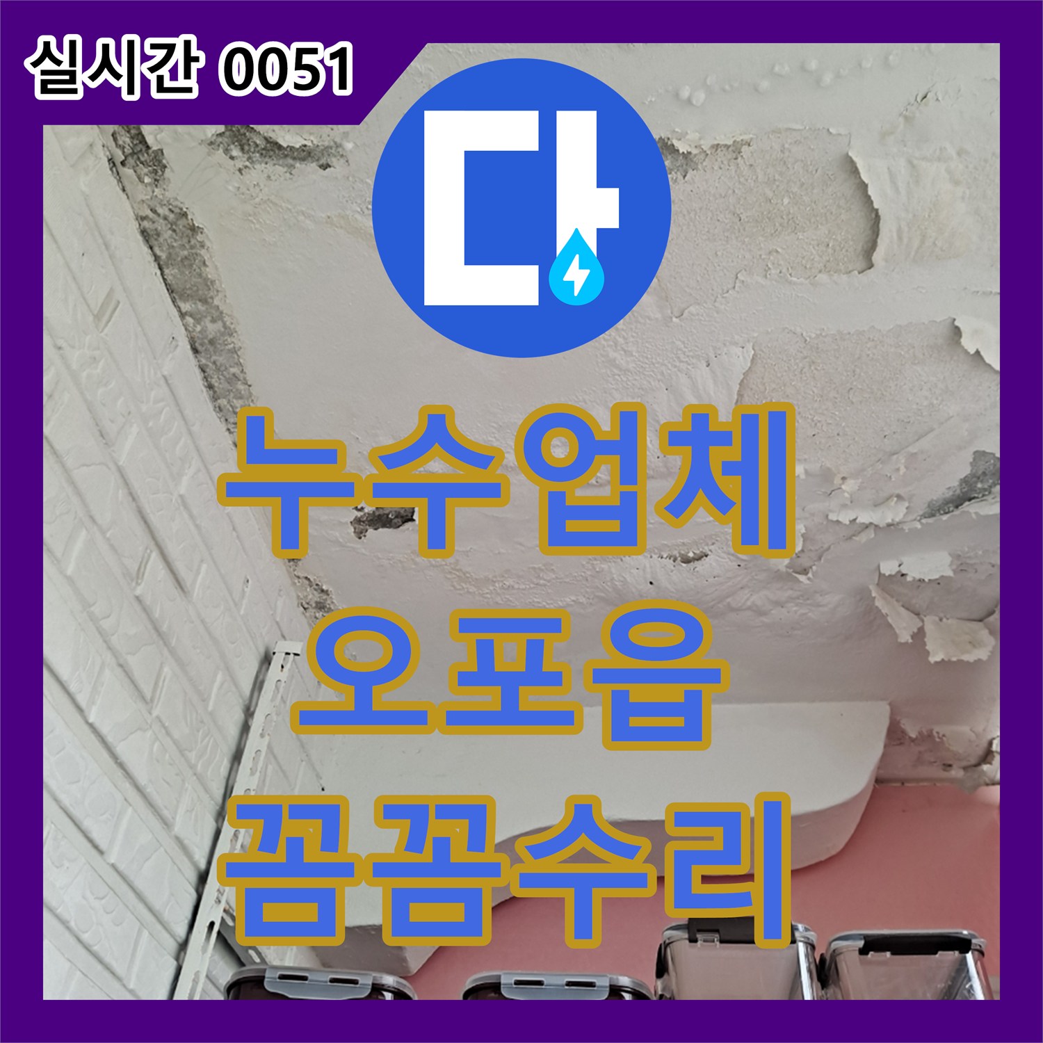 누수전문업체, 천장 곳곳에 물이 스며들고 도배지가 들뜨고 변색된 문제를 정밀 탐지하고 공사
