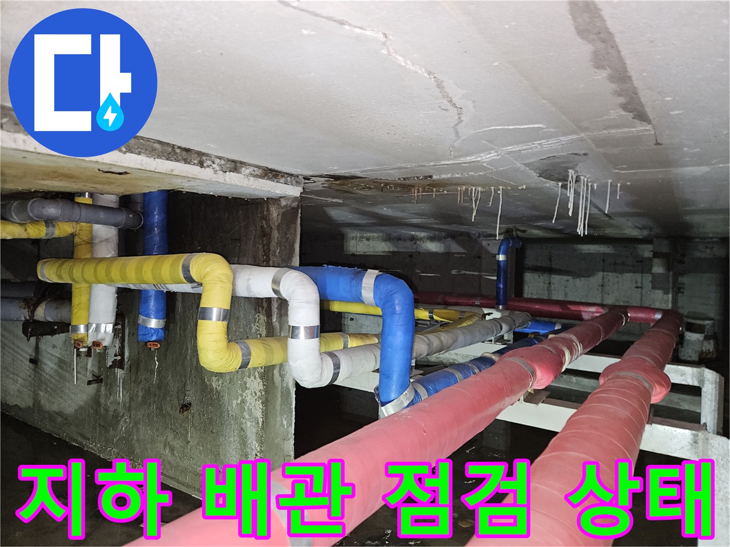 분당 구미동 빌라-지하 천장 내부의 젖은 배관 현황