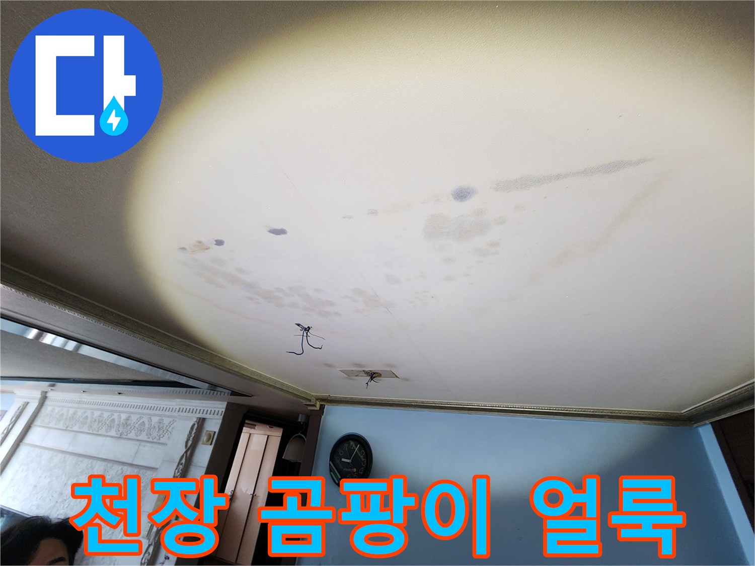 넓게 퍼진 천장 누수 흔적과 곰팡이 발생 부위 상세 사진