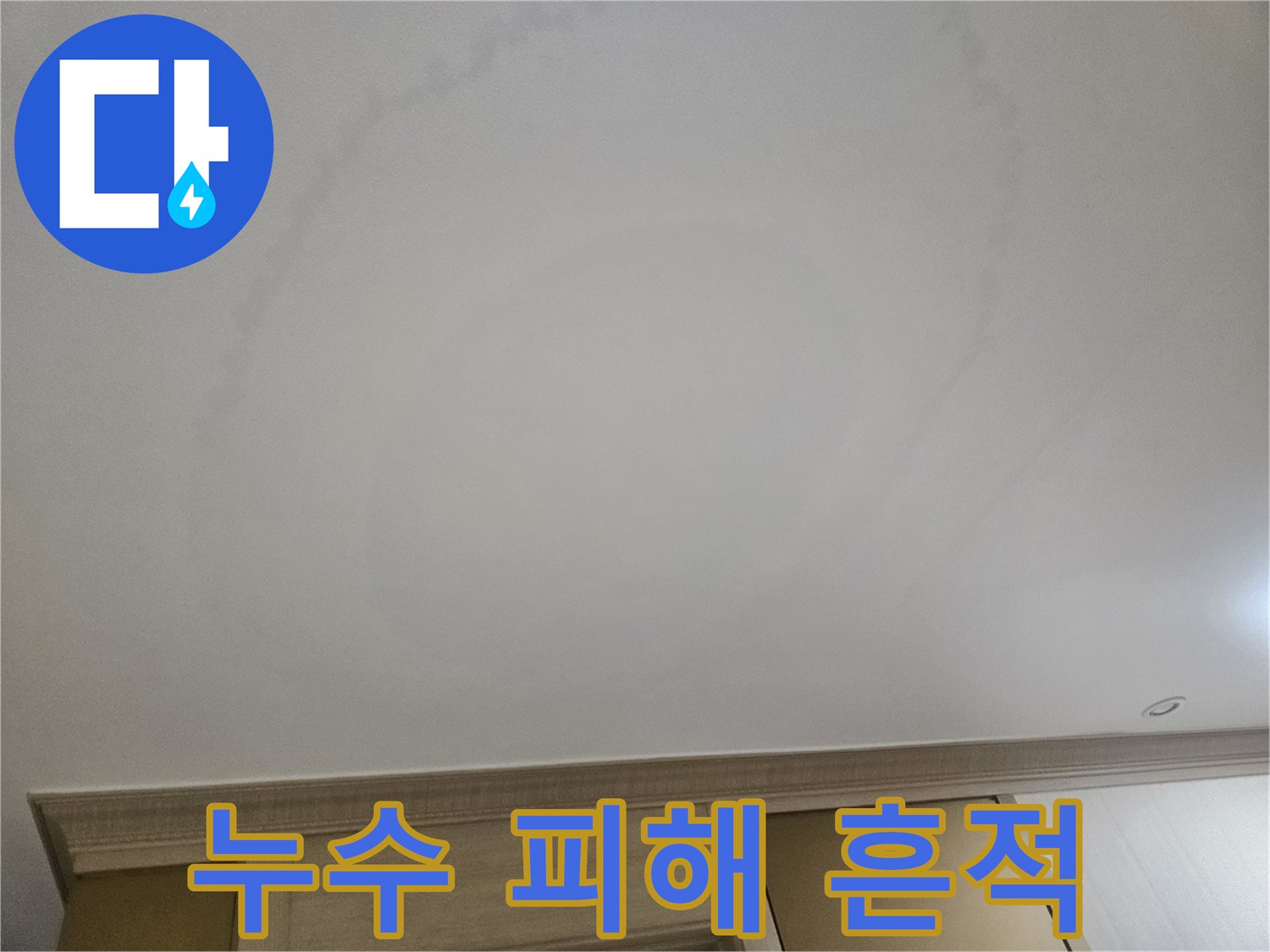 천장 중앙부에 크게 형성된 누수 얼룩 사진입니다.
