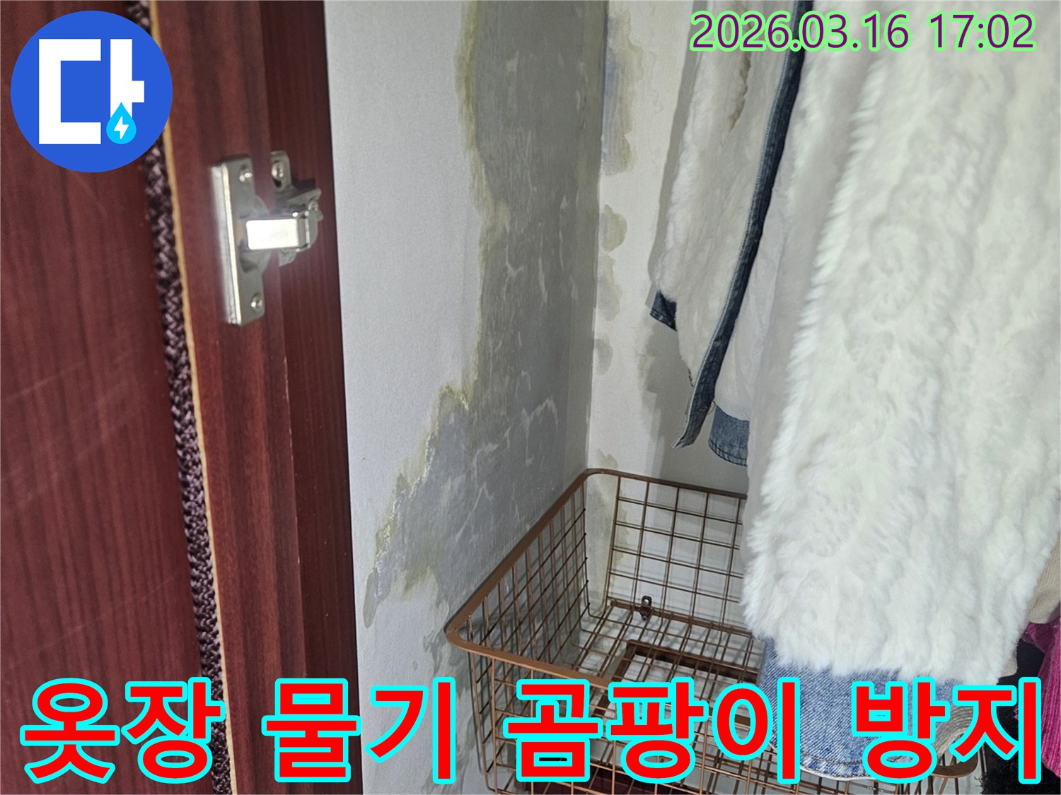 옷장 내부- 벽면에 생긴- 물기와- 곰팡이로 인한- 손상 부위