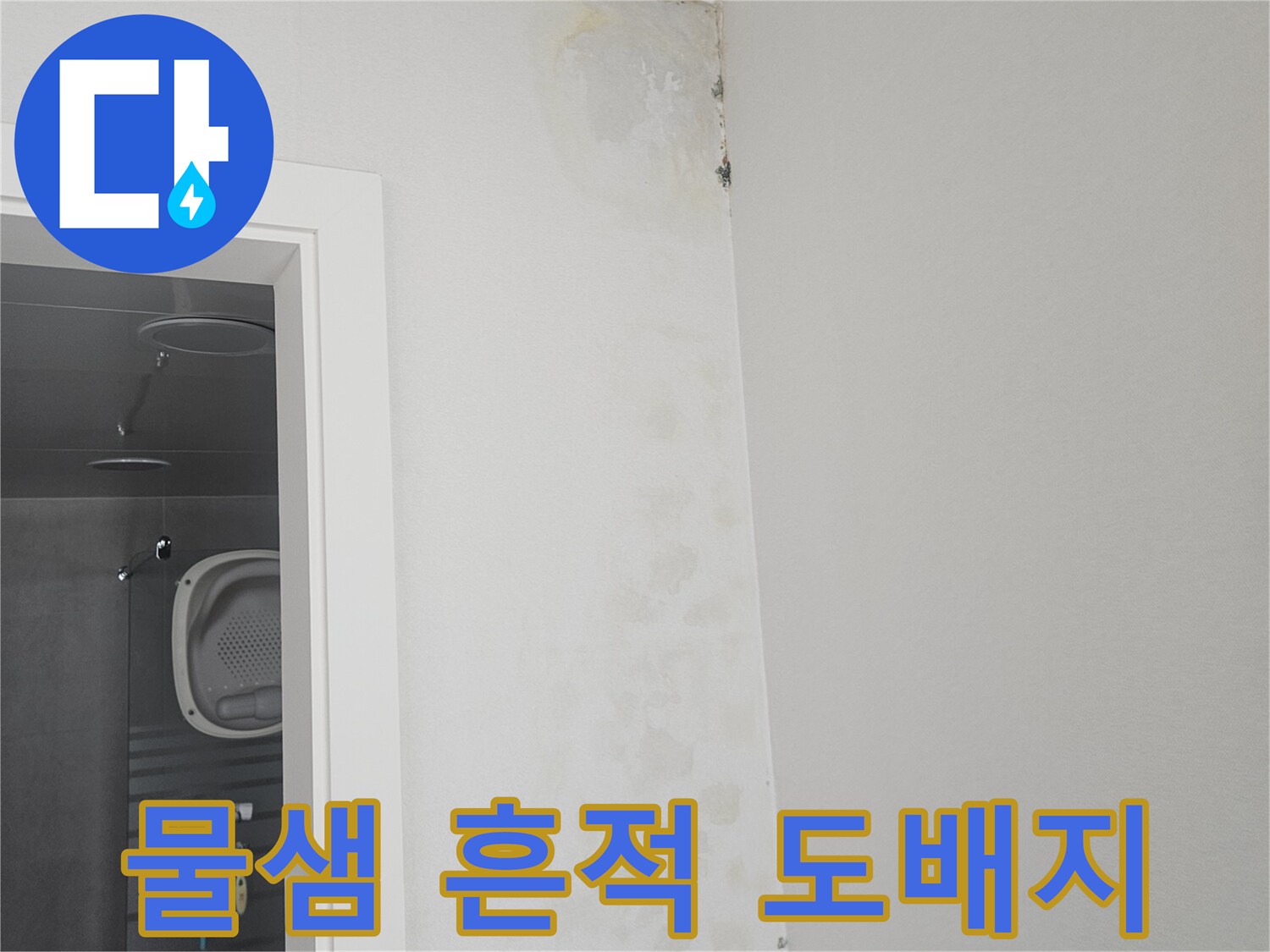 물기가 스며든-벽면 상단 도배지 경계