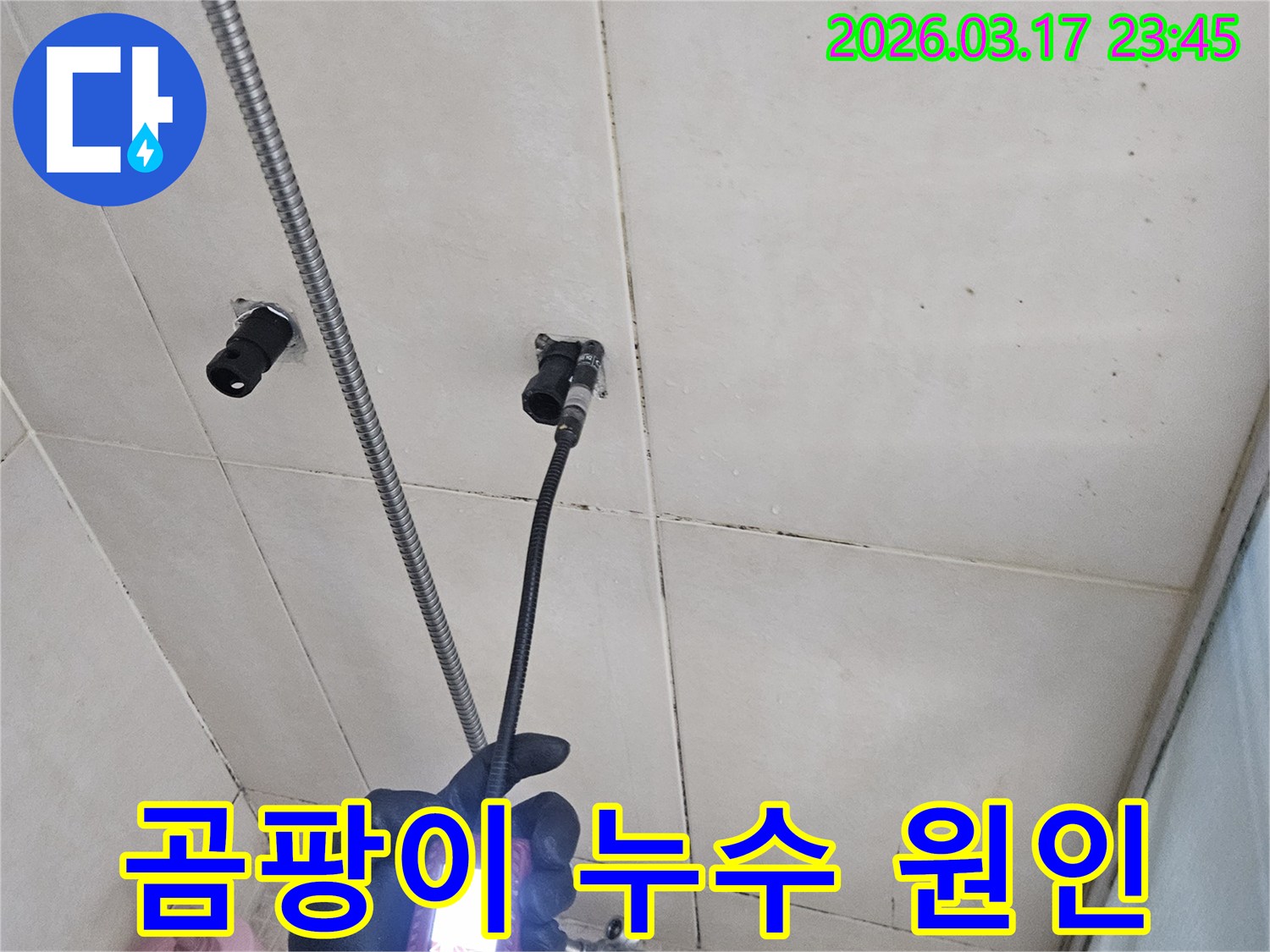 욕실 벽면의-곰팡이 발생 원인인-누수 지점을-내시경 장비로-정확히-찾아내는 모습입니다