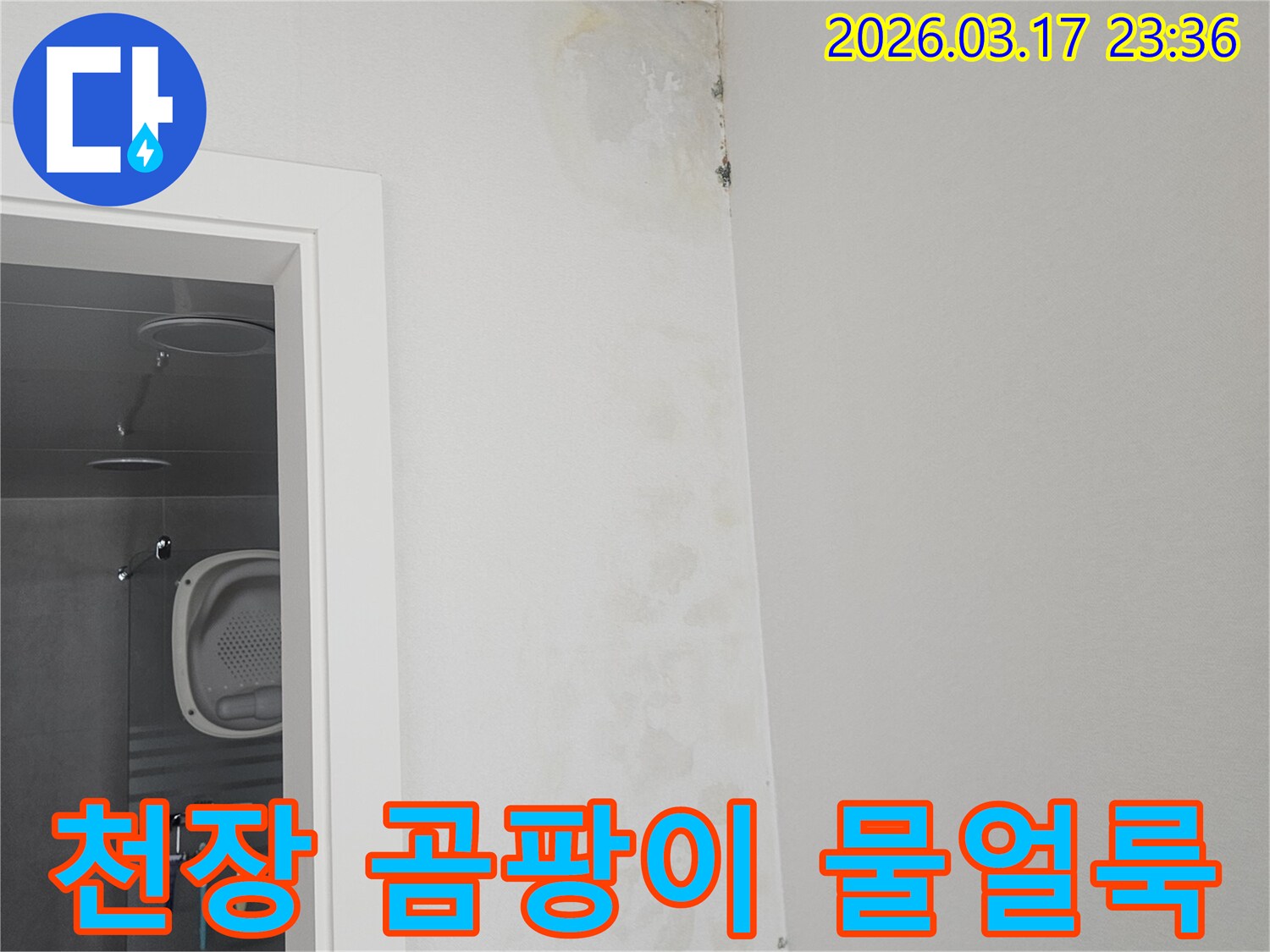 천장-모서리에-발생한-곰팡이와-물-얼룩-확인