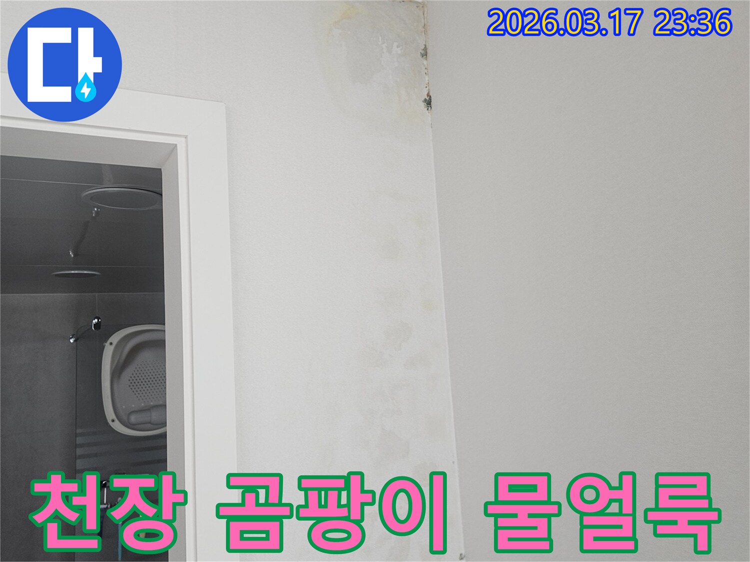 천장-모서리에-발생한-곰팡이와-물-얼룩-확인