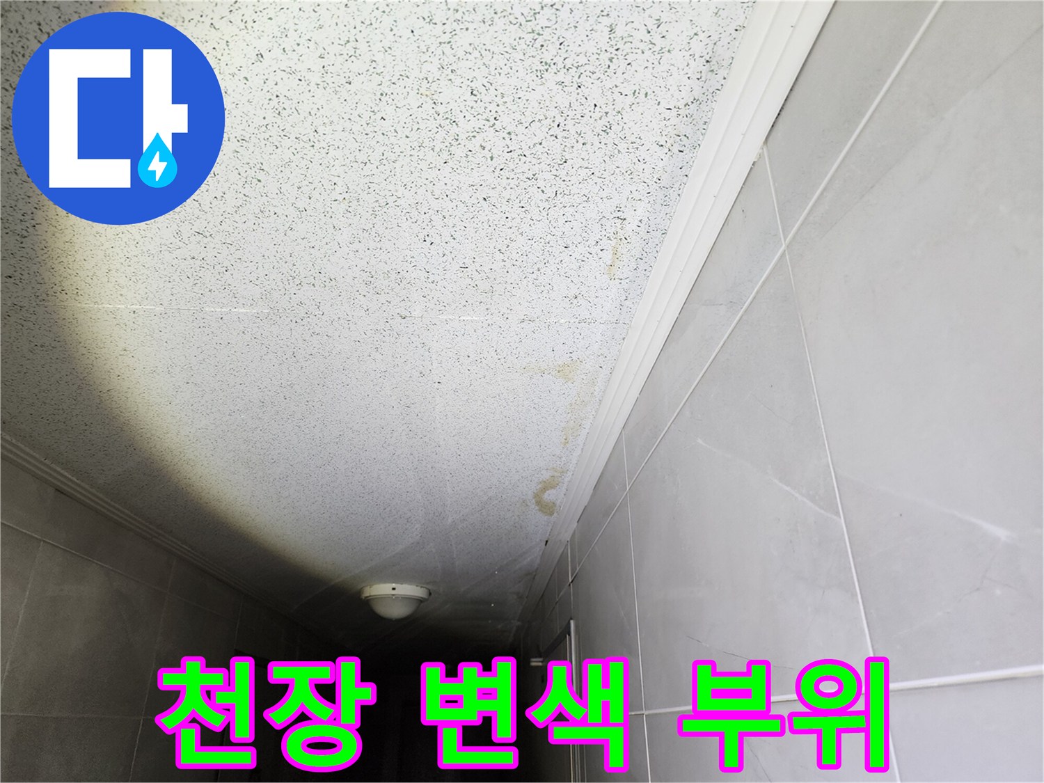 누수로 인한 천장 마감재의 습기 침투 및 변색 상태