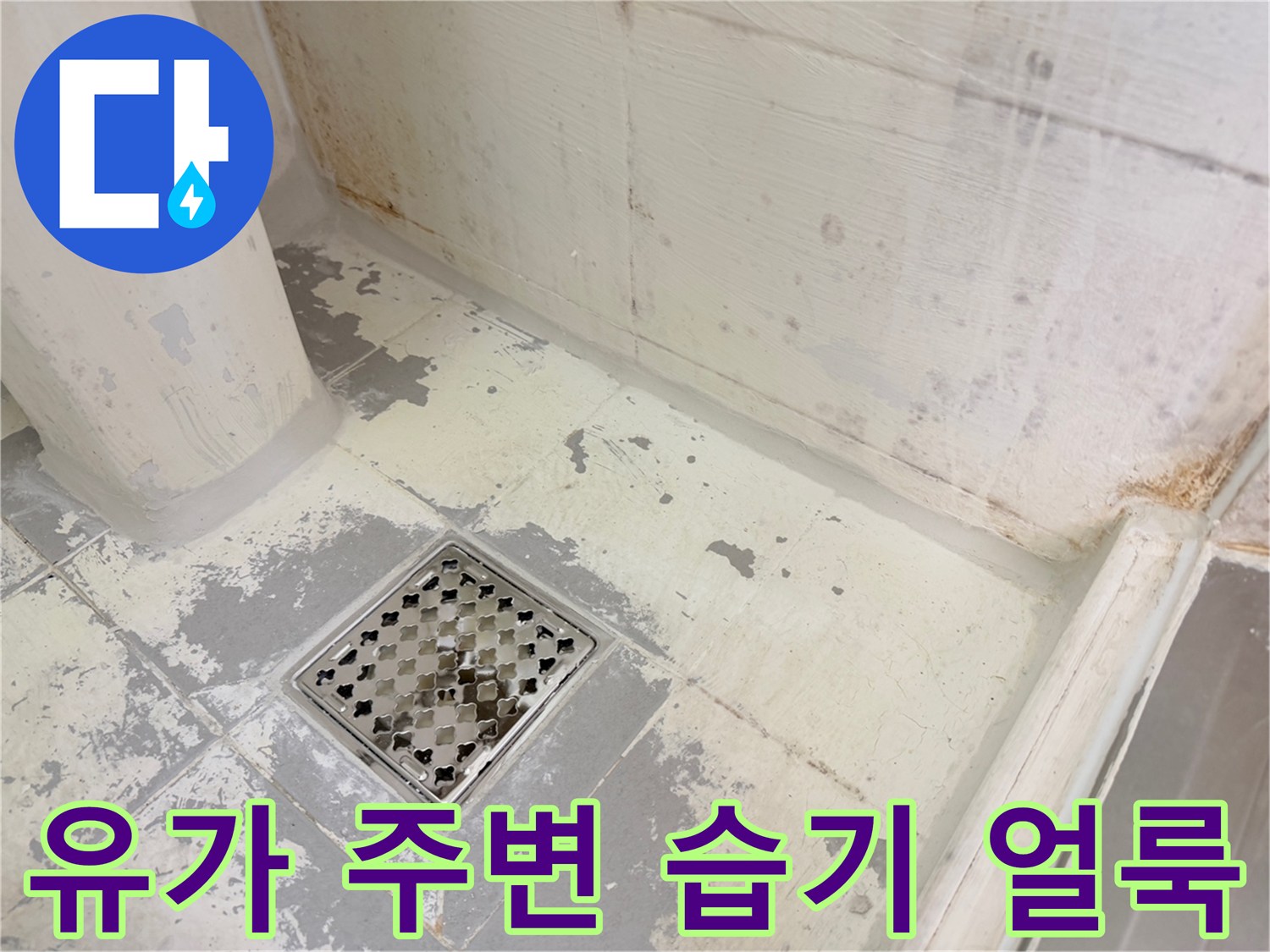 오염된-배수구-주변-타일-바닥면