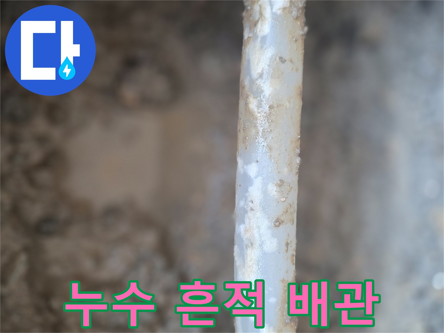 물샘 현상이 나타난-매립 배관의 파손 부위