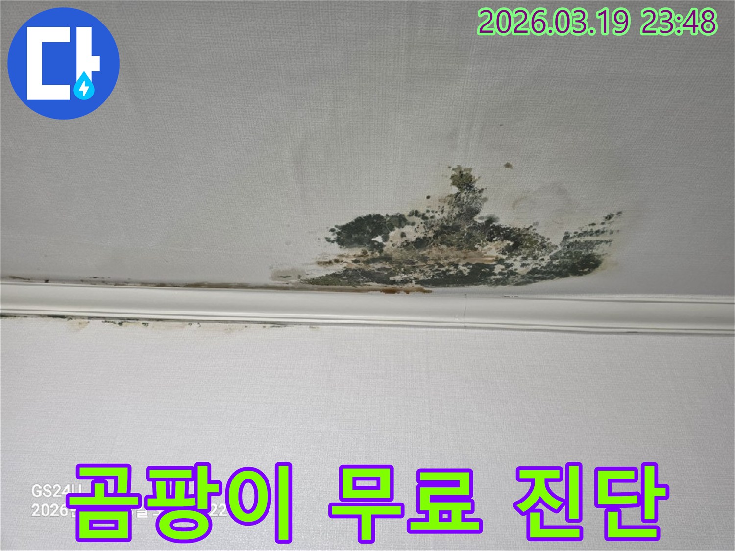 천장-벽지에-발생한-심각한-누수-곰팡이-오염-현장으로-무료-진단-서비스가-필요한-상태