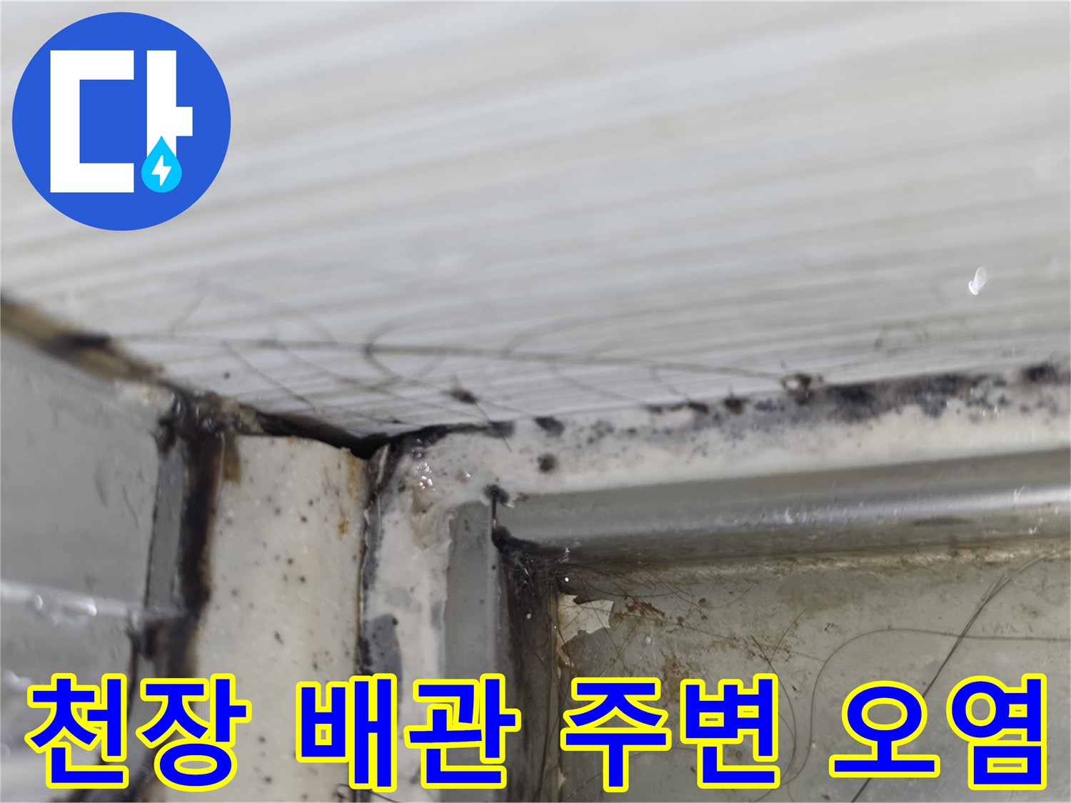 천장-배관-연결-부위의-물때와-곰팡이-발생-모습