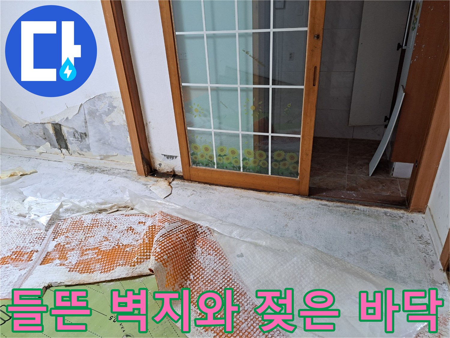 누수 피해를 입은-반지하 세대 내부 모습