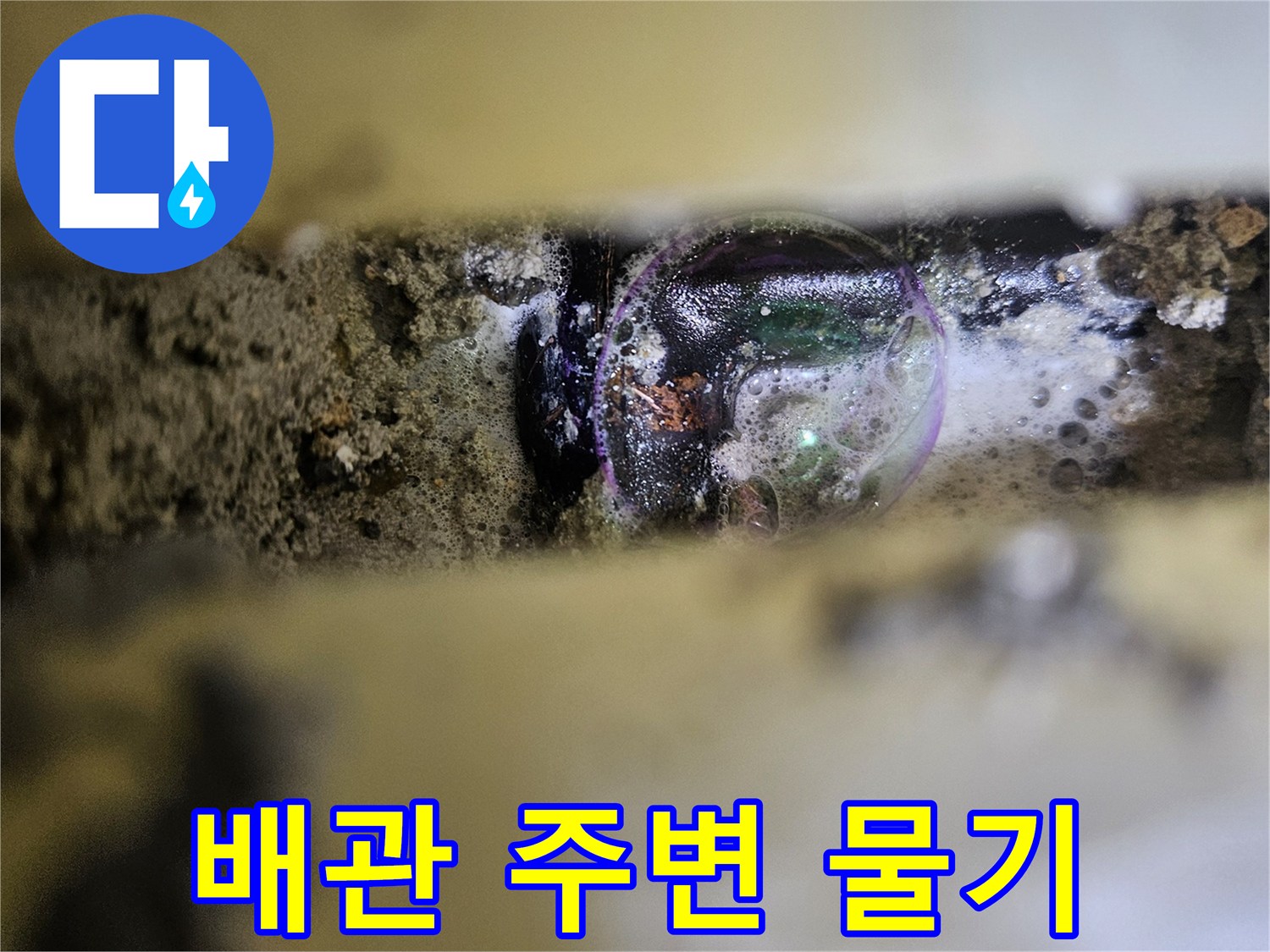 싱크대-하단-배관-주변의-젖은-토사와-습기