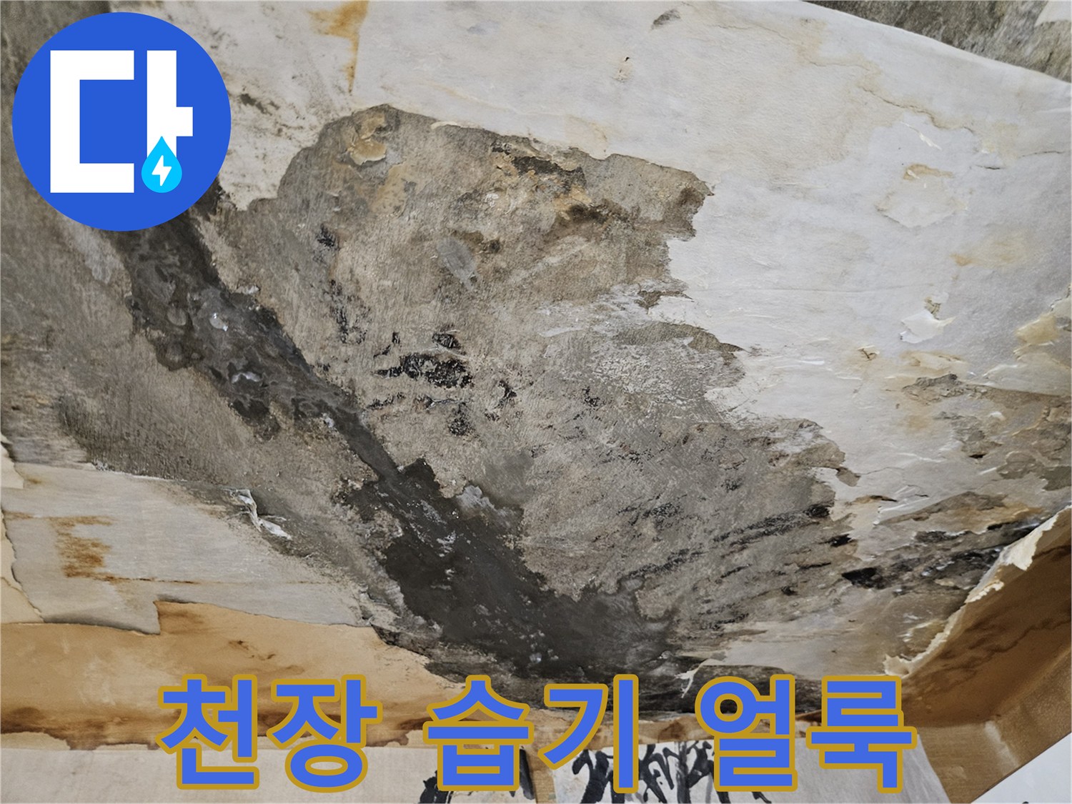 물에 젖어 변색된-천장-벽지 부분