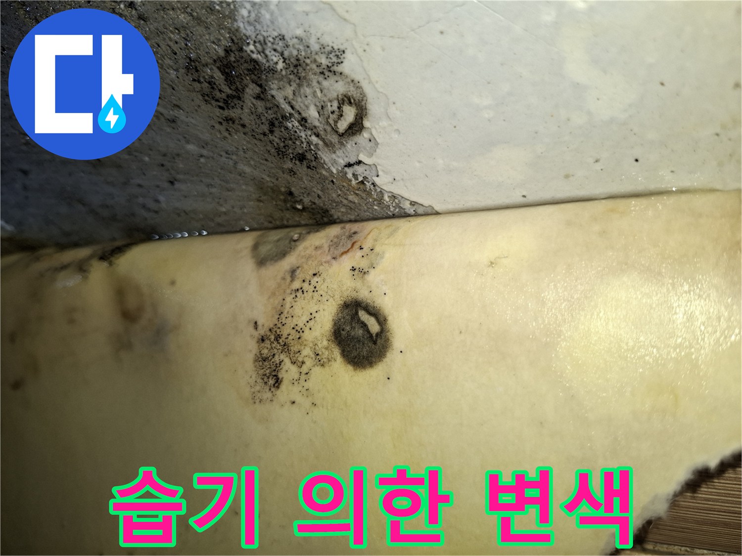 벽면 하단-물샘으로 인한 곰팡이 및 얼룩