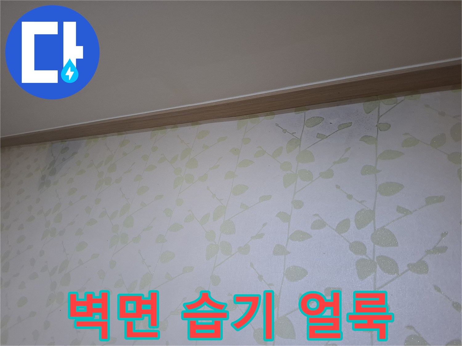 천장 몰딩 아래로 번진 물자국 - 누수 진단 현장