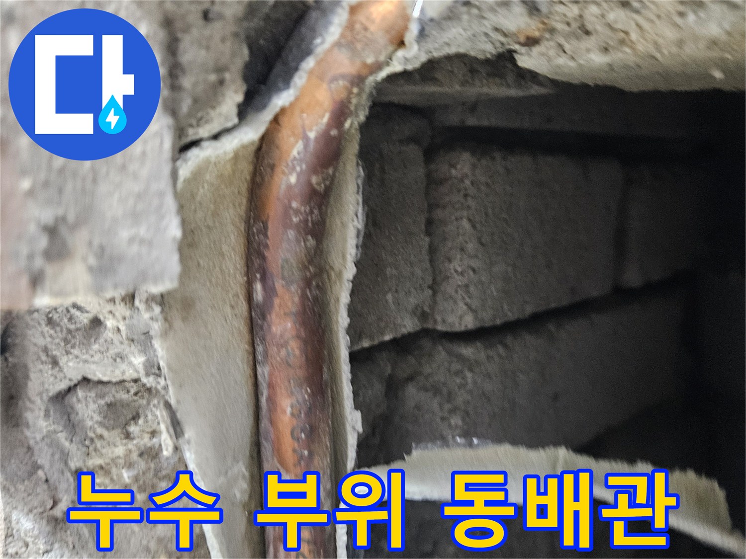 콘크리트-벽면-내부의-손상된-동배층