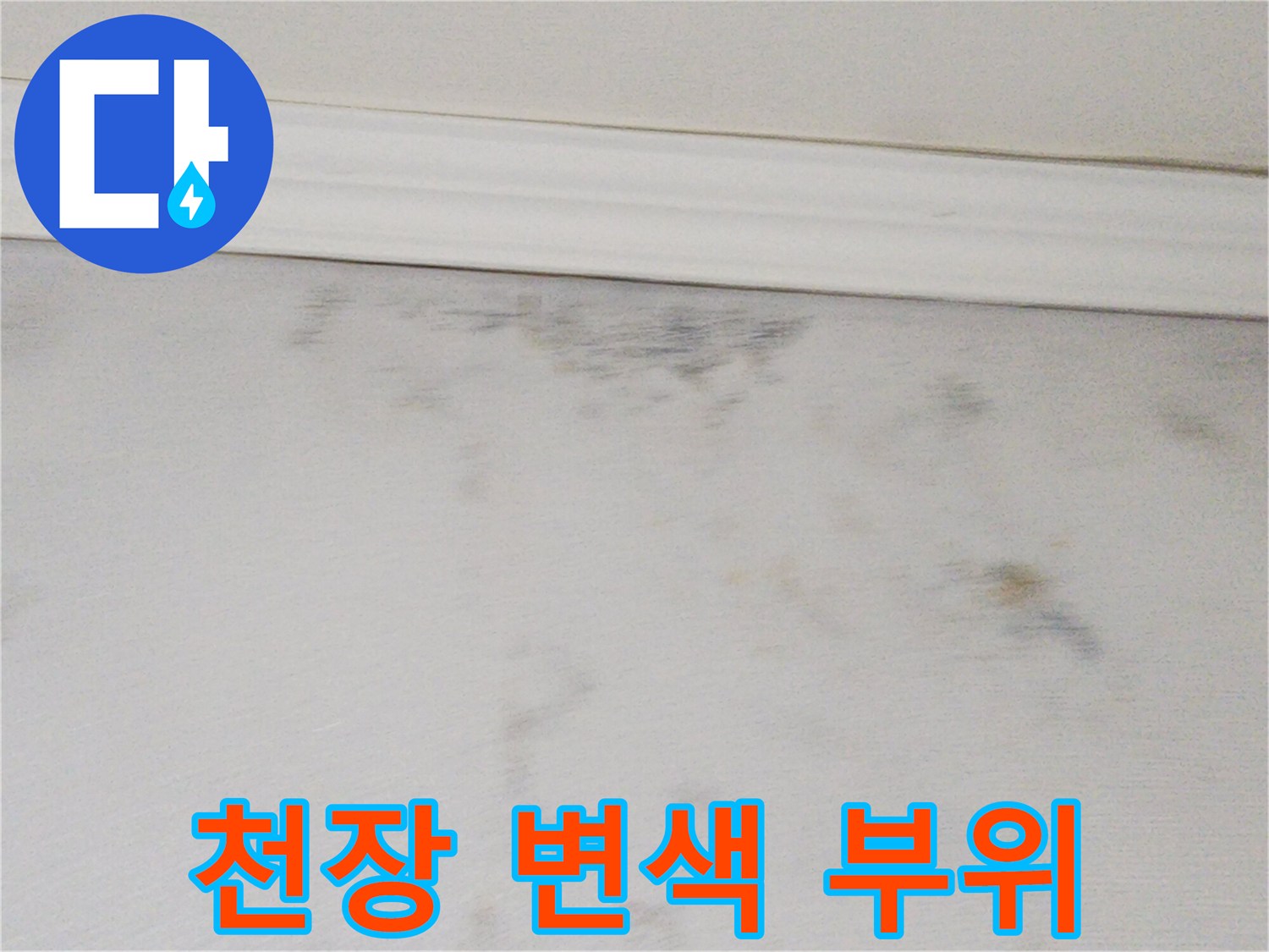 천장-경계면의-어두운-물샘-흔적