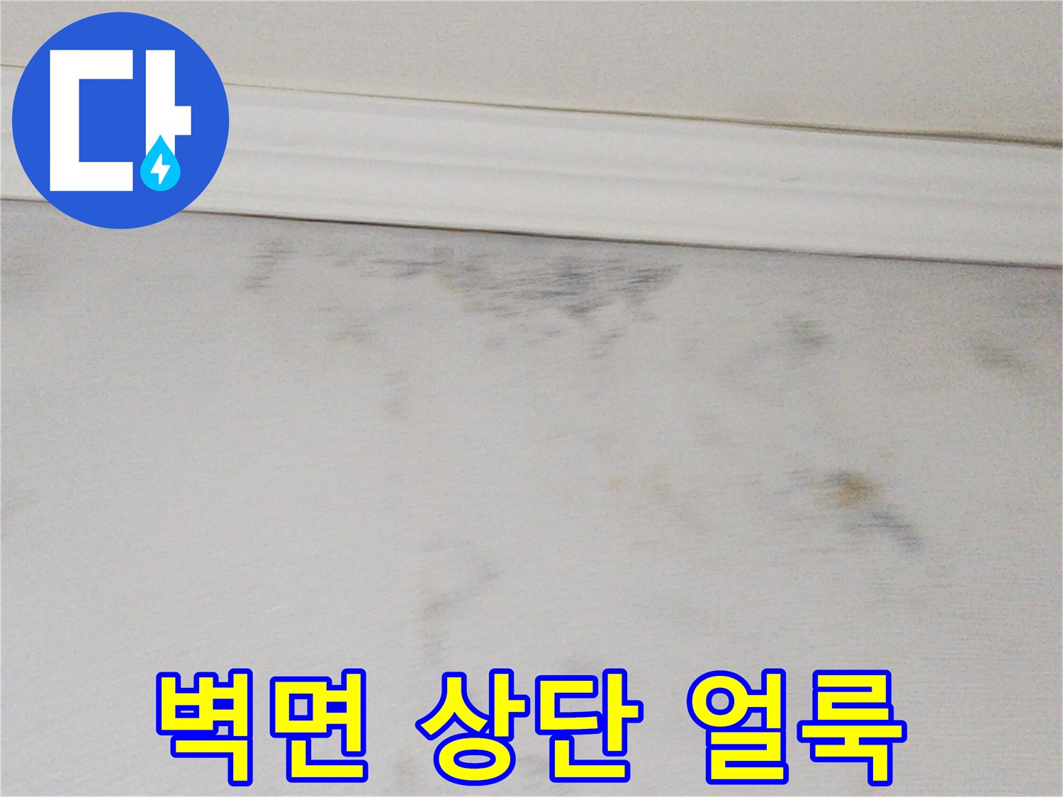 천장-몰딩-인근의-어두운-누수-자국