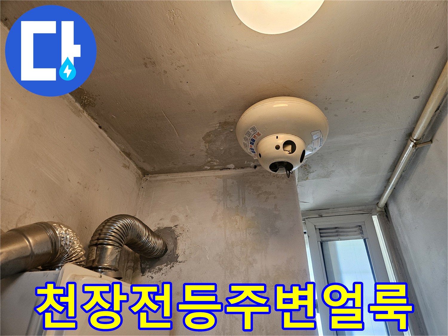 천장 조명기구 주변의 젖은 듯한 얼룩과 벽면 오염 부위