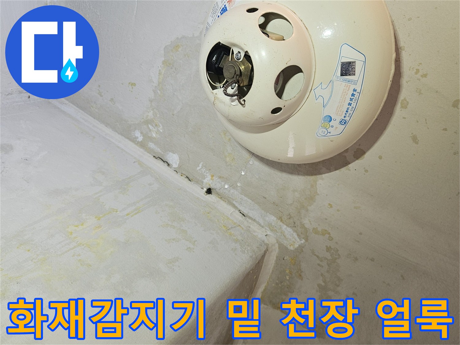 천장-화재감지기-주변의-축축한-얼룩-상태
