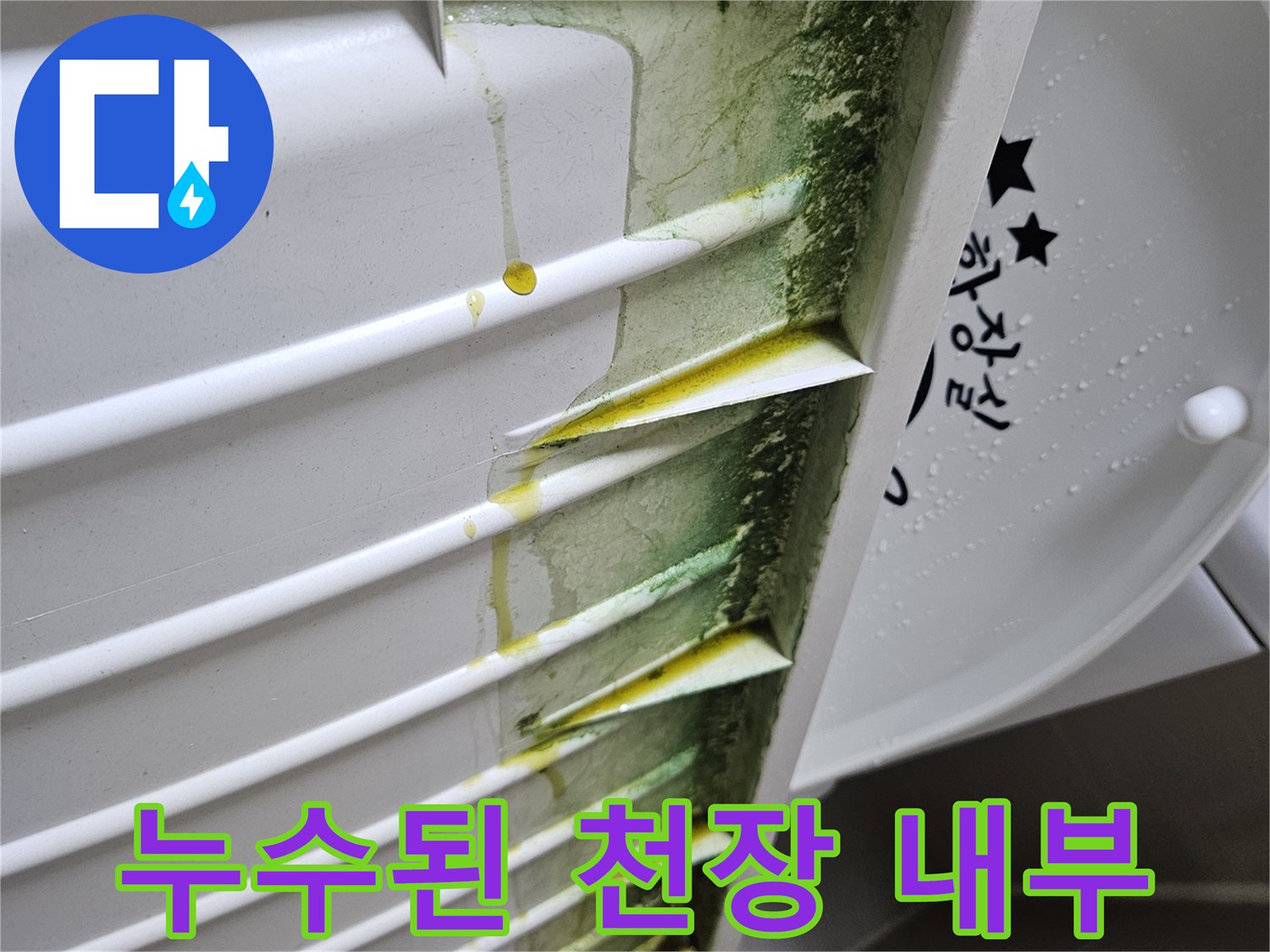 천장-점검구-안쪽의-곰팡이와-누수-흔적