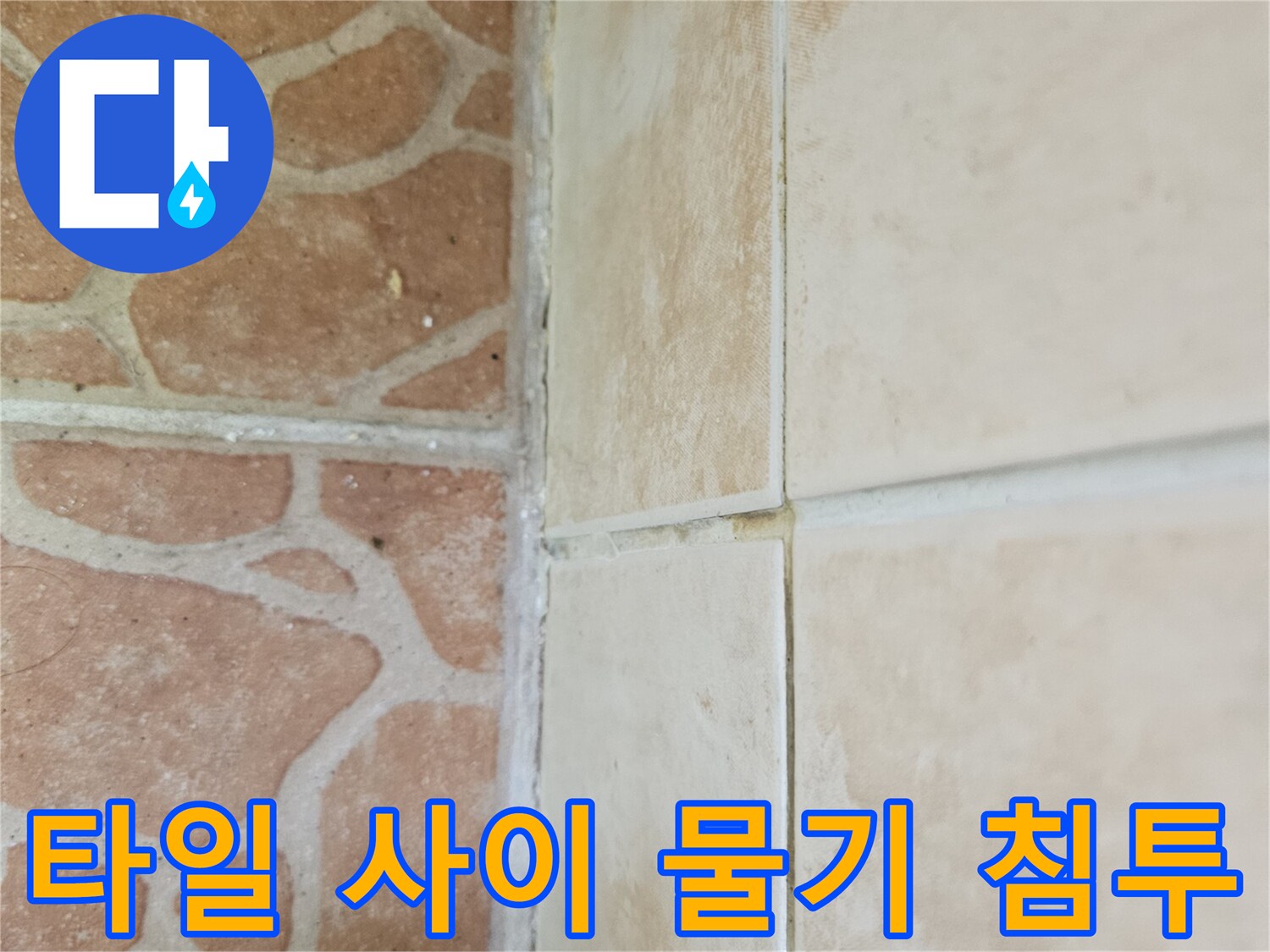 베이지 타일-경계부 수분 오염 관찰
