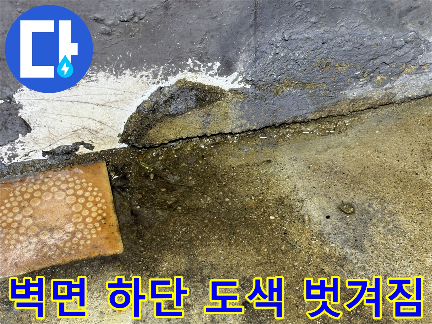 누수로-인해-하얗게-들뜬-벽면-마감재-사진
