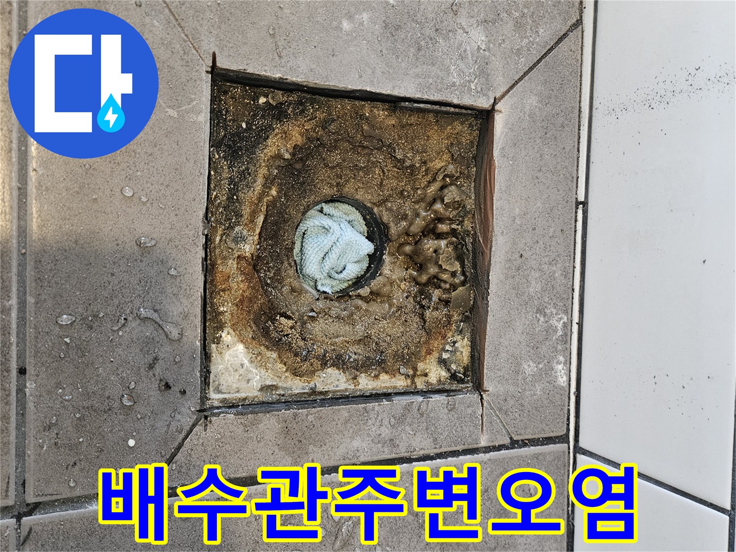 하수구-배관-주변-이물질과-습기-상태