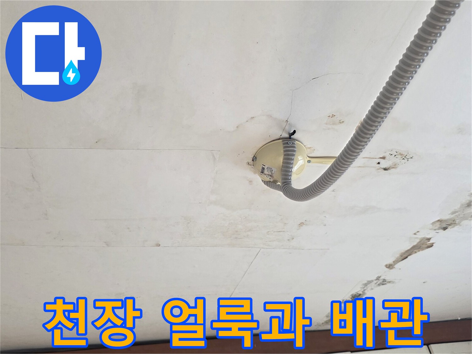 동작구 현장-천장 얼룩 및 배관 상태