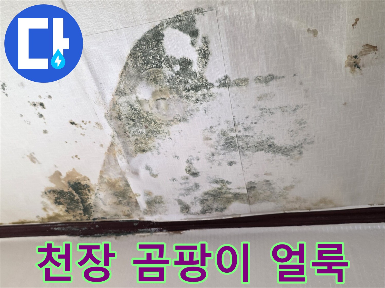 천장에 발생한 검은색 곰팡이와 물에 젖은 얼룩 상태