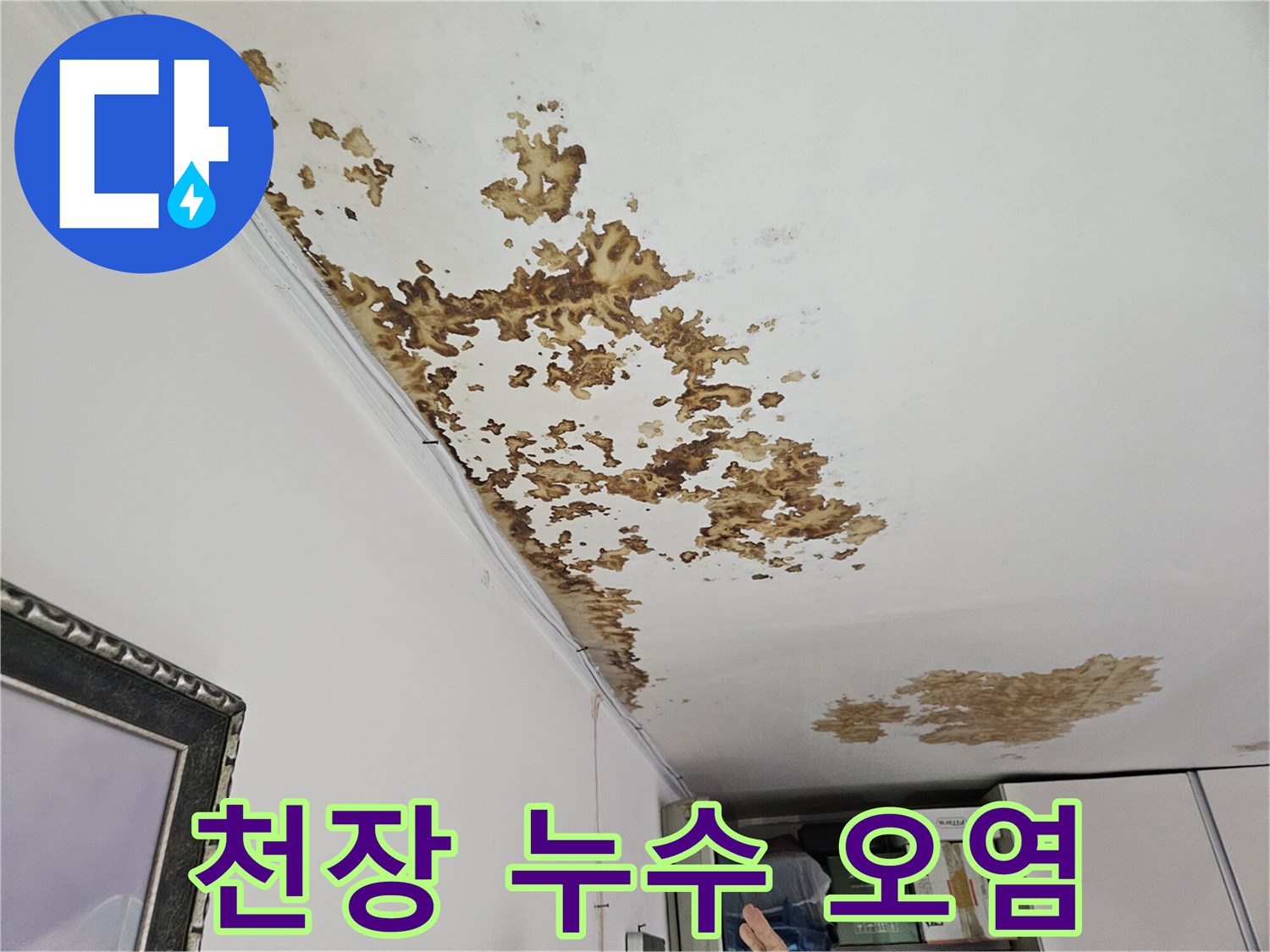 불규칙한 모양의 천장 누수 얼룩 부위