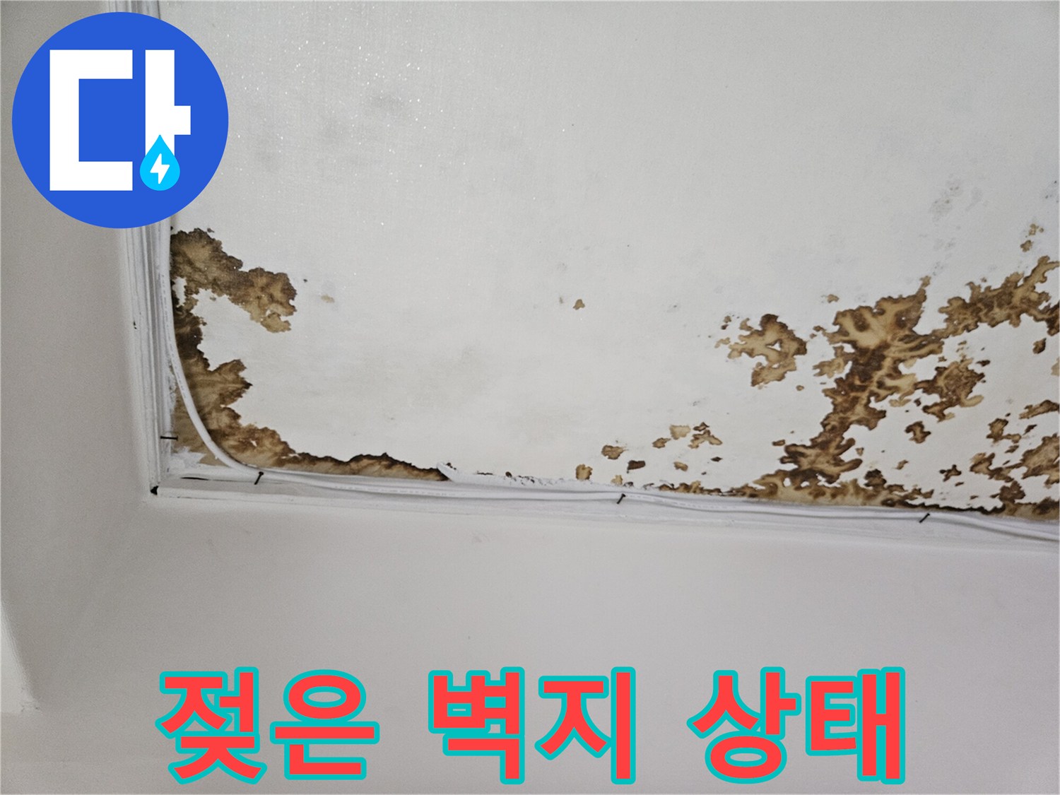 천장 벽면의 누수 흔적과 젖은 부위 상세 사진
