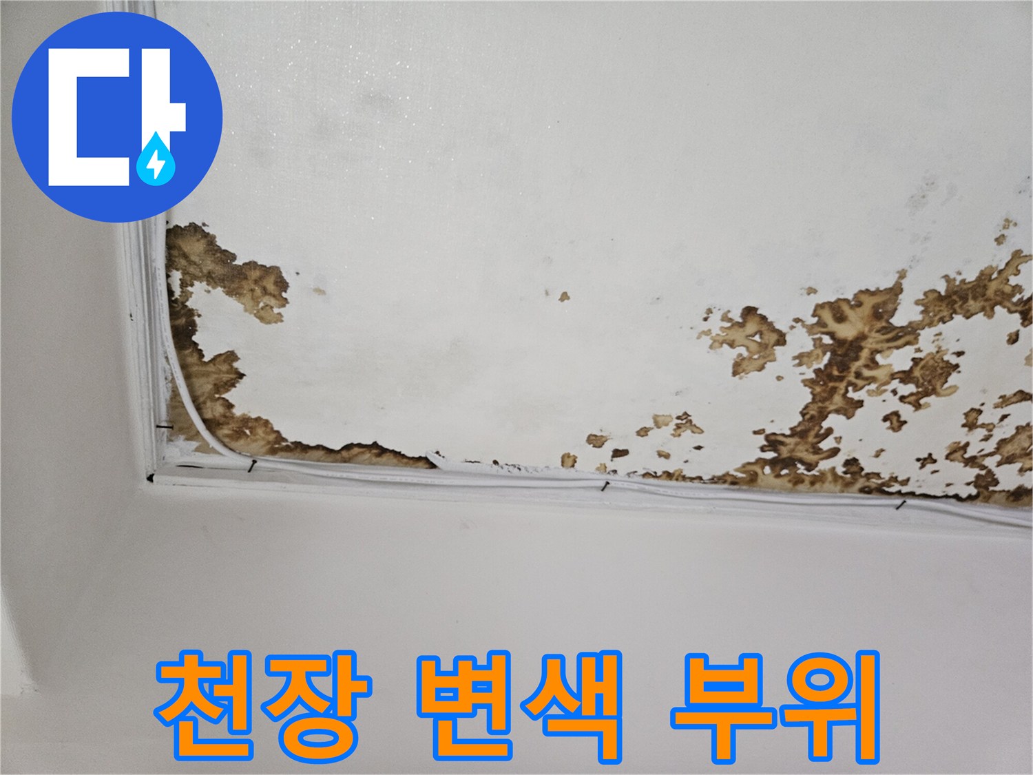 천장 벽지에 발생한 누수 흔적과 얼룩 상세