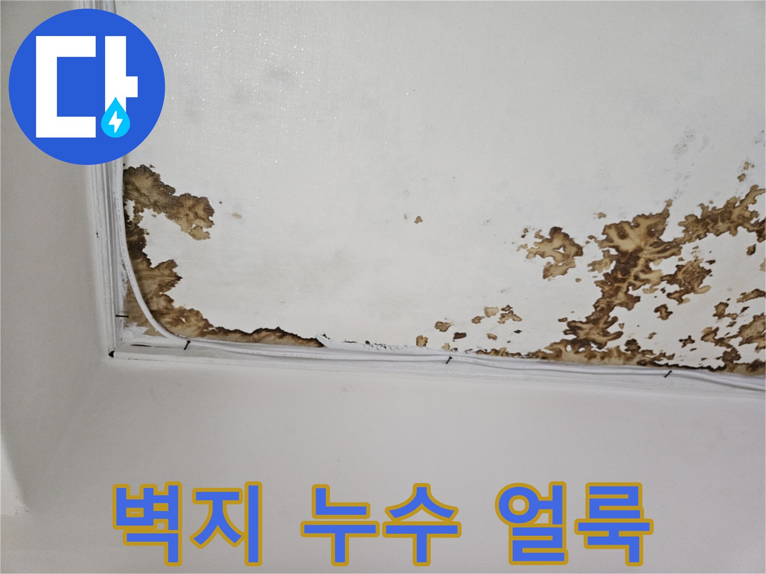천장 부위-누수로 변색된 벽지 상태