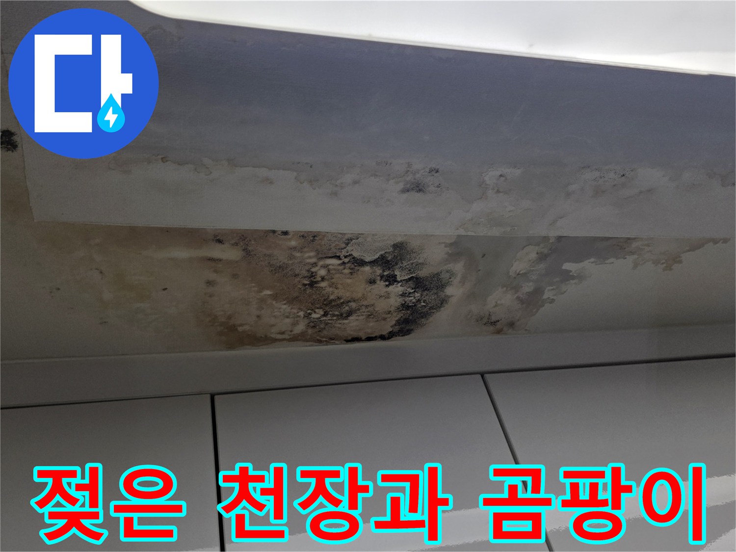 심각한 누수 피해를 입은-세탁실 천장 모습