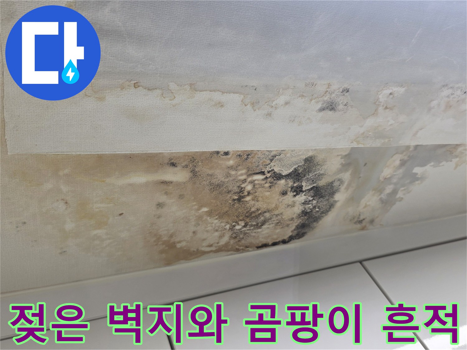천장 벽지-습기로 인한 갈색 얼룩과 곰팡이 발생