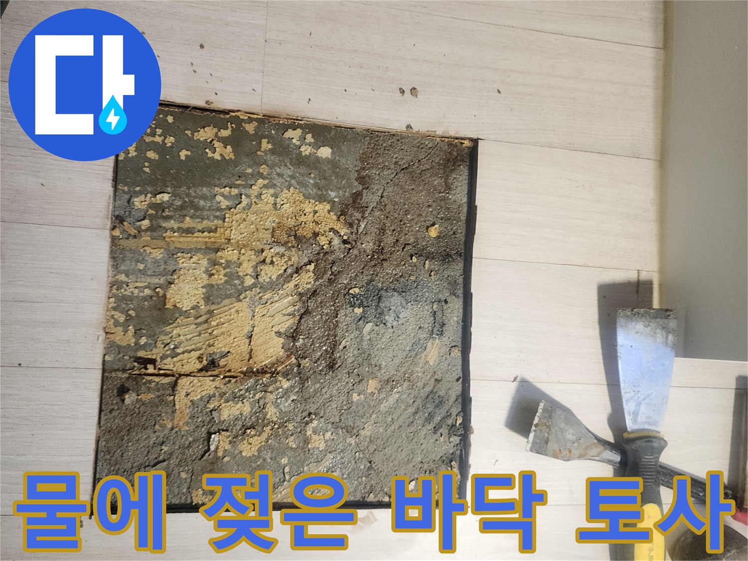 누수-발생-부위의-젖은-흙과-배관-주변