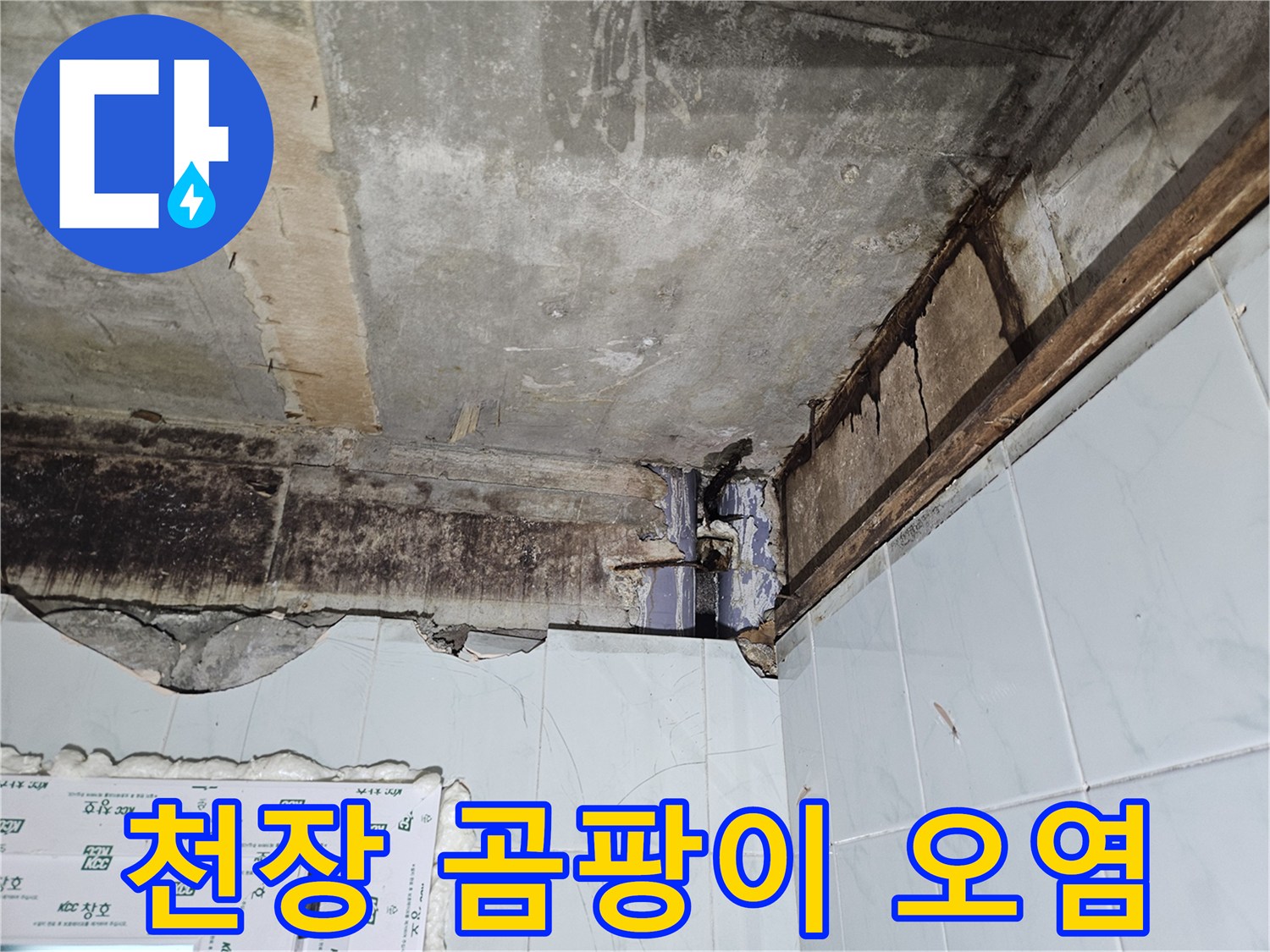 심하게-오염된-화장실-천장-콘크리트-구조물