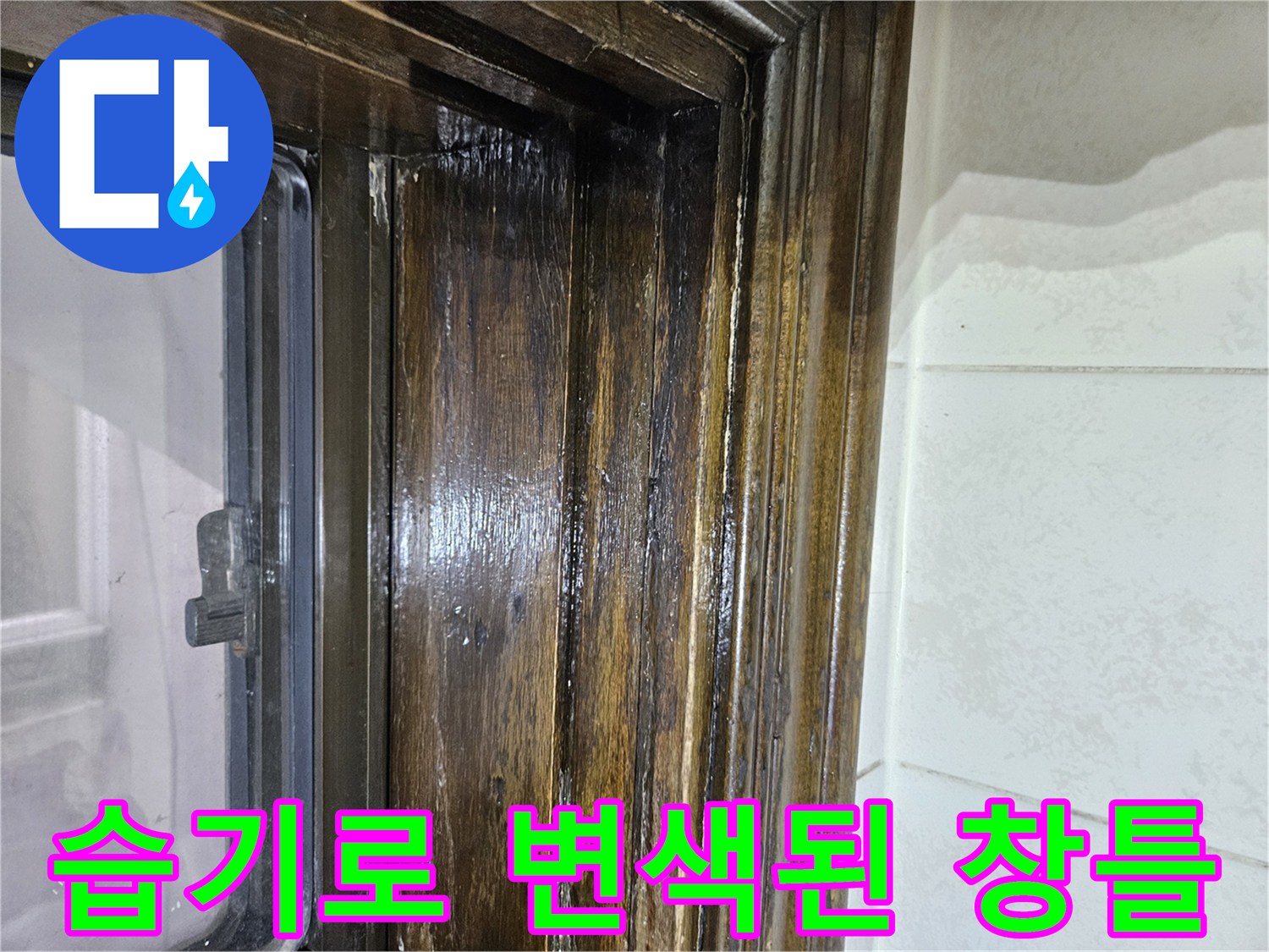 물기에 젖은-나무 창문 프레임의 상세 부위