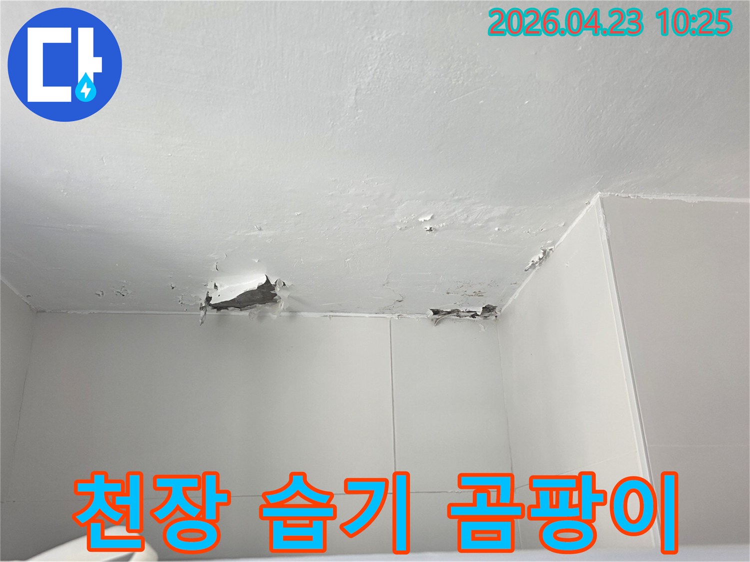 누수로 인해-천장에 습기가 차고-곰팡이가 생기기 시작한-위생적인 문제가 우려되는 현장