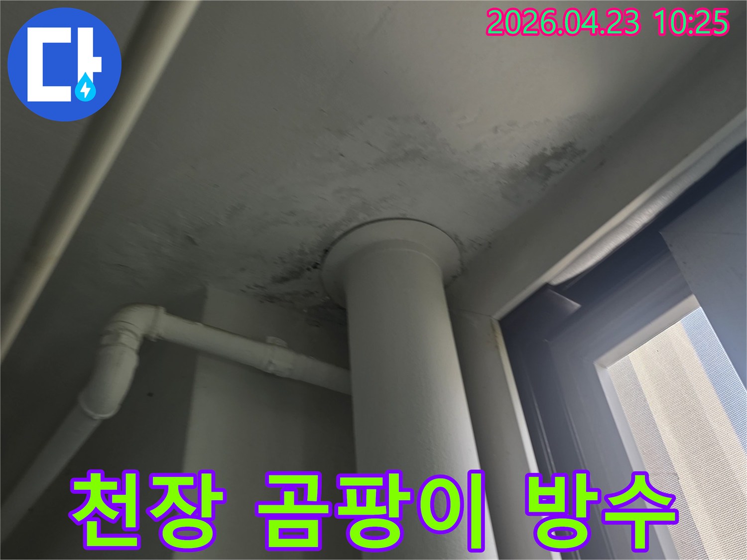 천장 배관 주변에 번식한 곰팡이와 물의 흔적