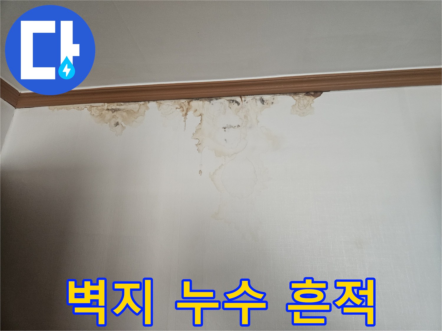 천장-가장자리의-물샘-및-변색-상태