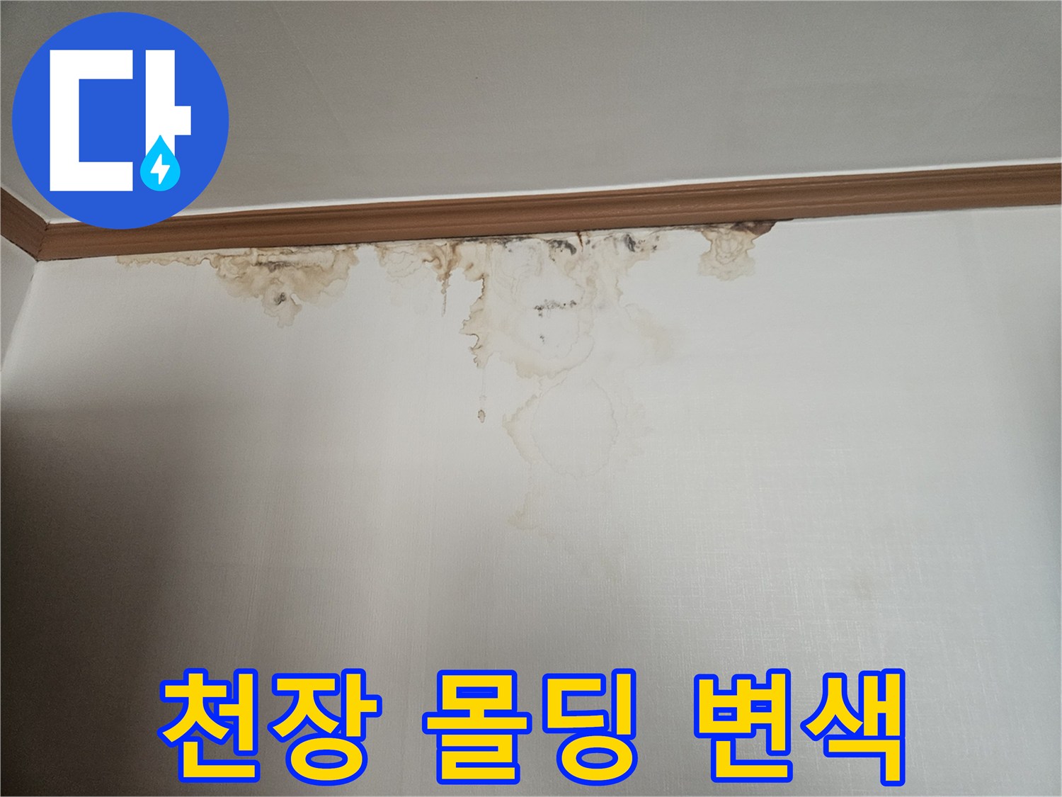천장-몰딩-주변의-심한-물번짐-현상