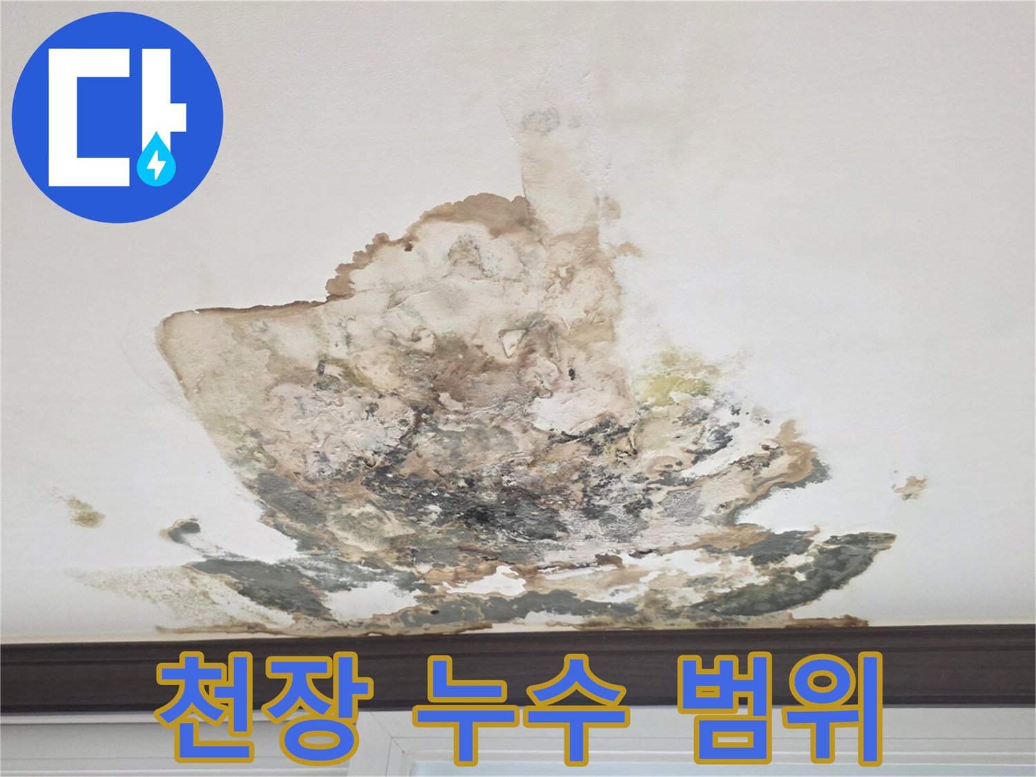 넓게-퍼진-천장-누수-오염-부위