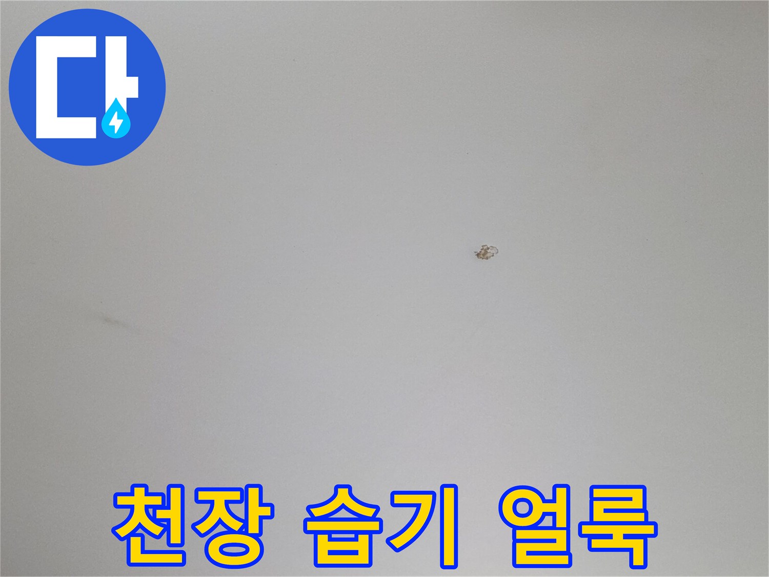 매끄러운 천장 표면의 작은 변색 부위