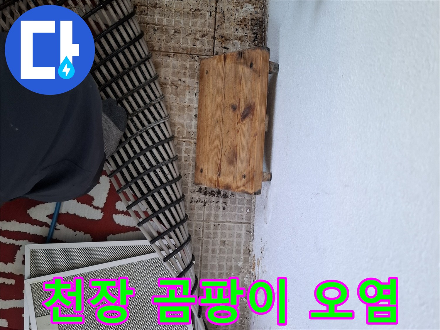 습기로 인해 검게 변한 천장 곰팡이 부위