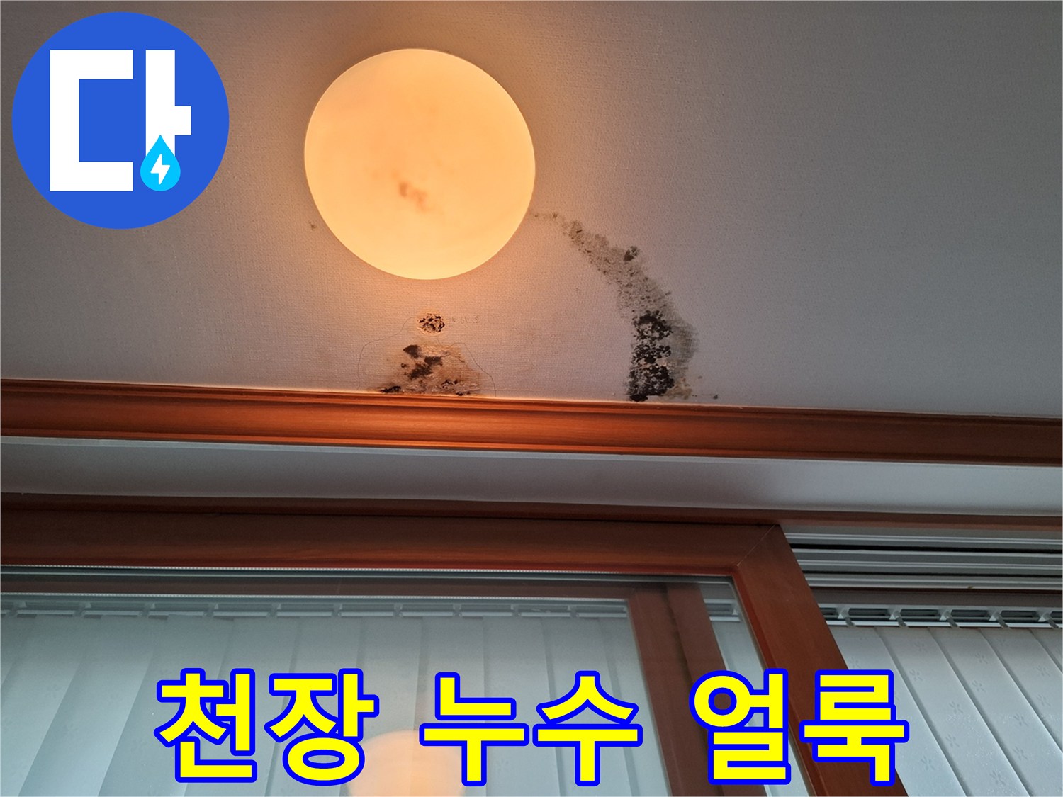 조명 주변의 갈색 물자국과 천장 모서리 곰팡이 상태